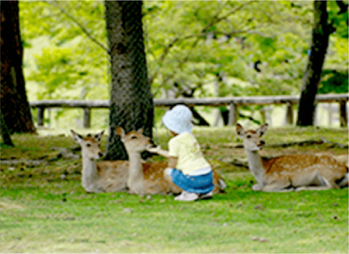おもしろ歴史フェスティバルの様子